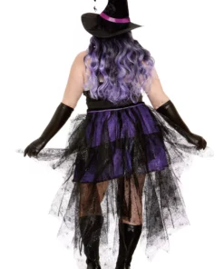 Dreamgirl Women's Plus Size Sexy Purple Witch Costume -Wonderful Halloween Costumes Shop womens plus sexy purple witch alt 1