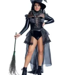 Starline, LLC. Plus Size Wicked Witch Women's Costume