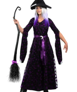 Fun Costumes Purple Moon Women's Witch Costume