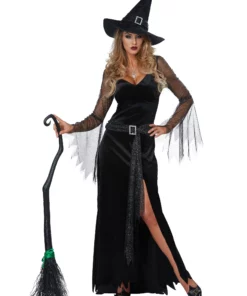 California Costume Collection Rich Witch Women's Costume