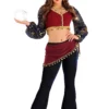 Fun Costumes Sexy Fortune Teller Costume For Women -Wonderful Halloween Costumes Shop womens sexy gypsy costume