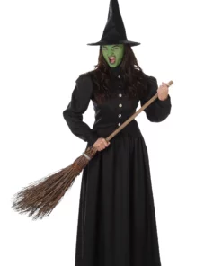Karnival Costumes Wicked Witch Costume For Women